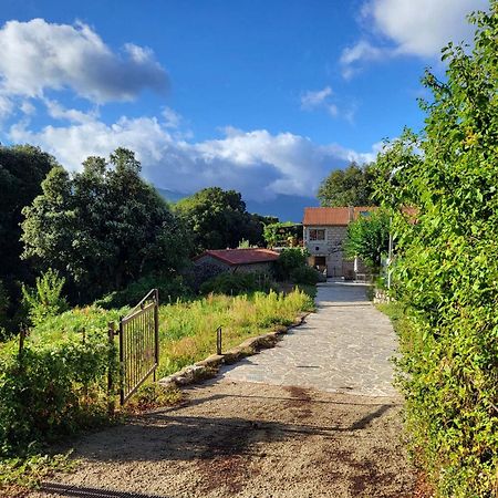 Chez Paulette - Meuble De Tourisme Classe 3 Etoiles Zonza Dış mekan fotoğraf