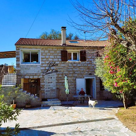 Chez Paulette - Meuble De Tourisme Classe 3 Etoiles Zonza Dış mekan fotoğraf