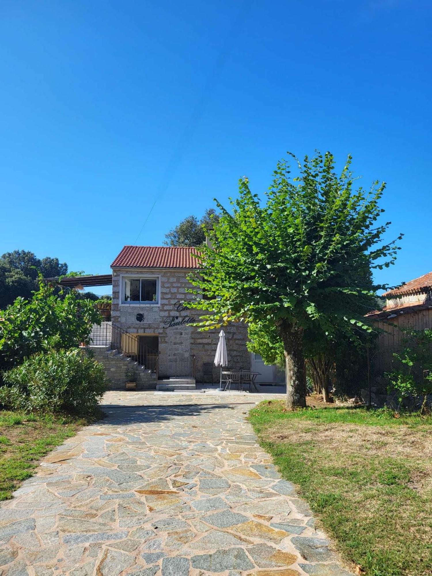 Chez Paulette - Meuble De Tourisme Classe 3 Etoiles Zonza Dış mekan fotoğraf