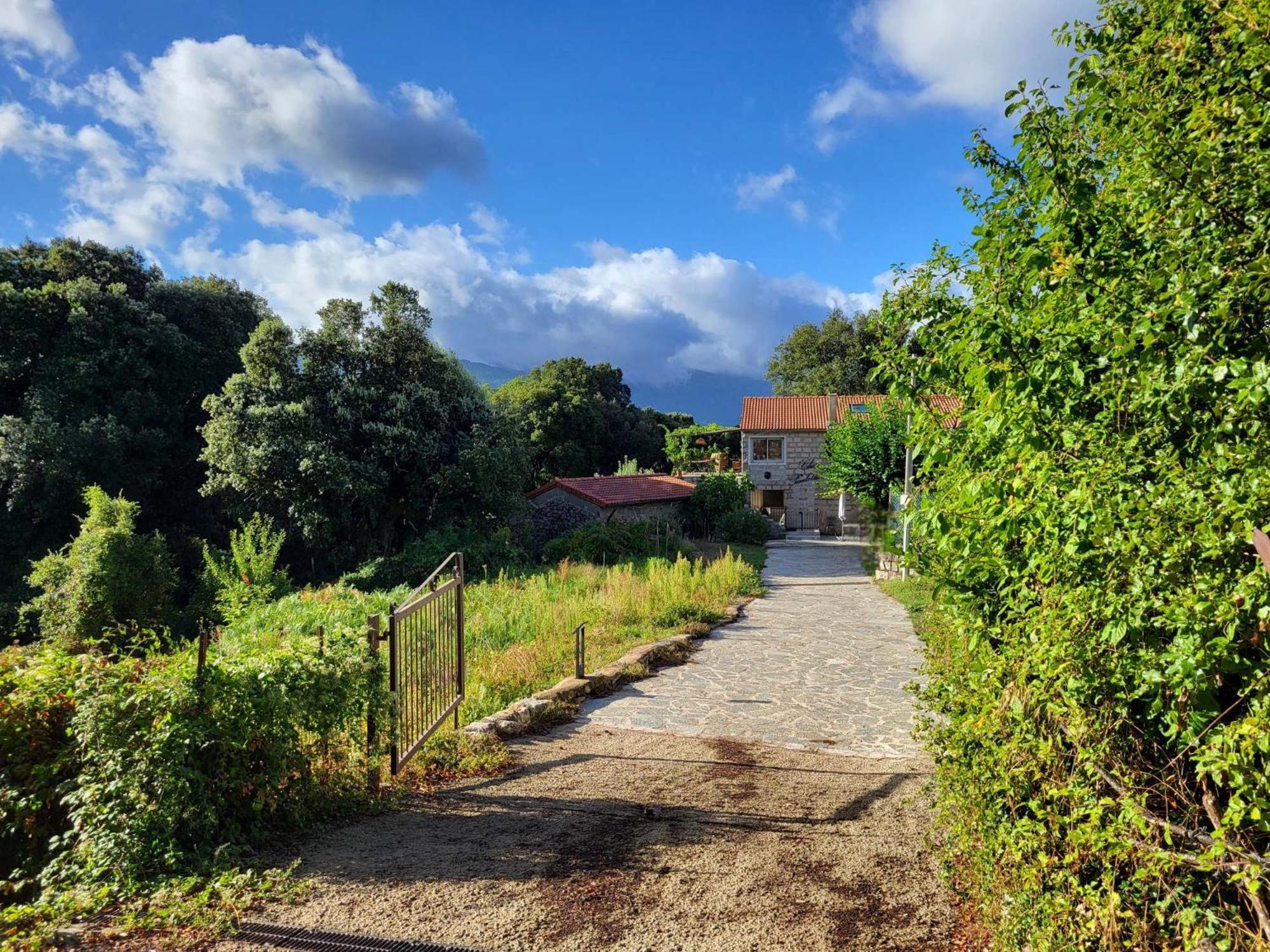 Chez Paulette - Meuble De Tourisme Classe 3 Etoiles Zonza Dış mekan fotoğraf